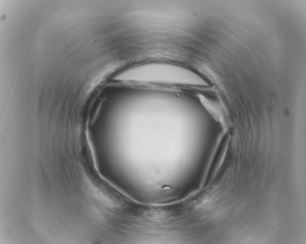 X0000089430444200707061347