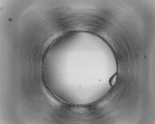 X0000089430445200707061347