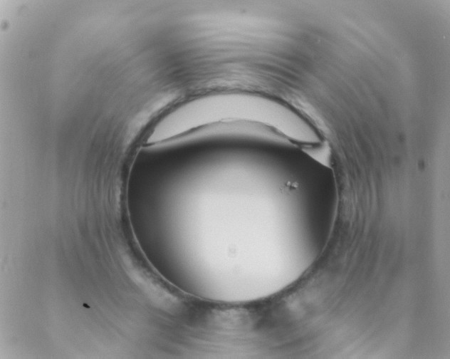 X0000089430446200707061347