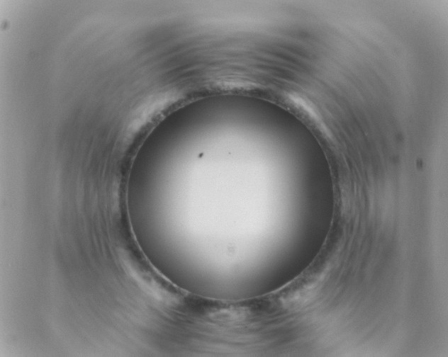 X0000089430447200707061348