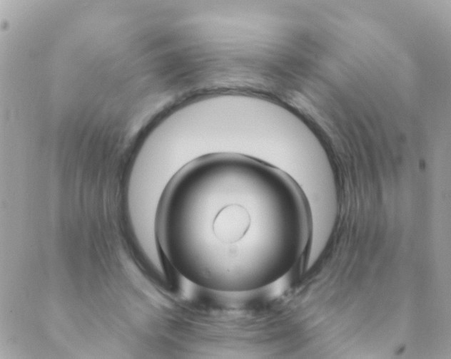 X0000089430448200707061348