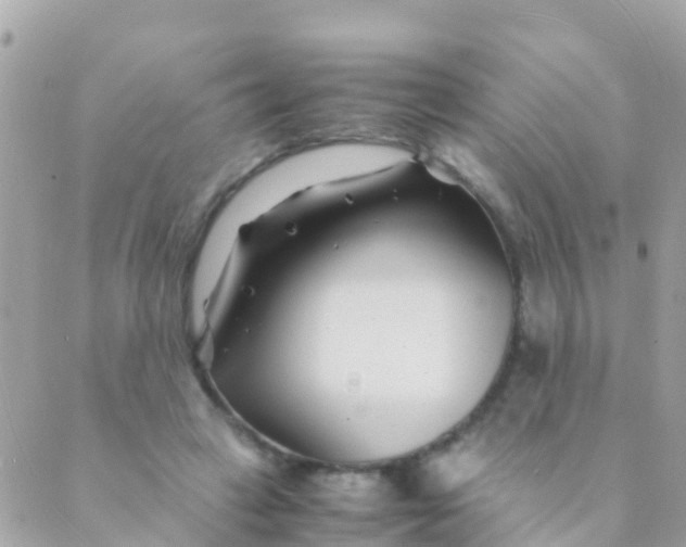 X0000089430449200707061348