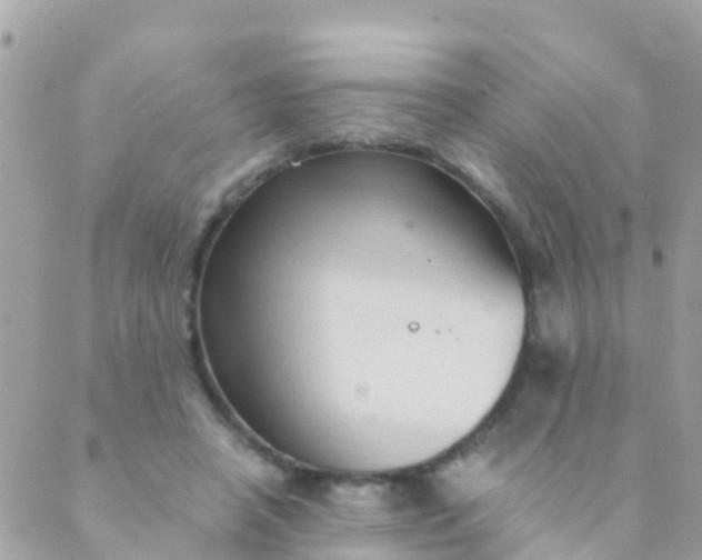 X0000089430450200707061348