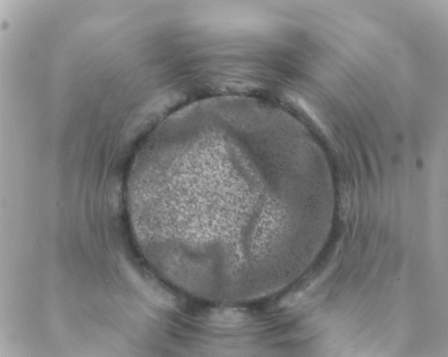 X0000089430451200707061348