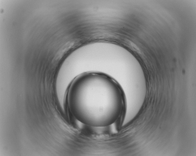 X0000089430452200707061348