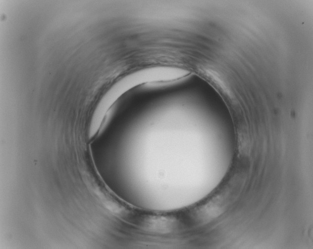 X0000089430453200707061348