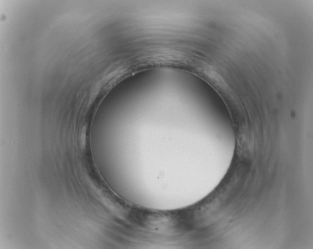 X0000089430454200707061348