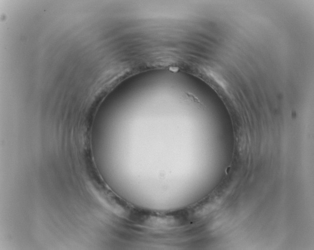 X0000089430455200707061348