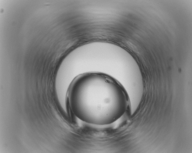 X0000089430456200707061348