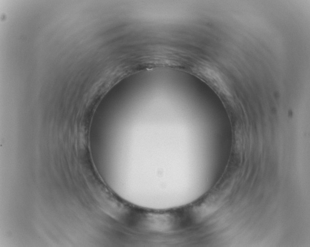 X0000089430457200707061348