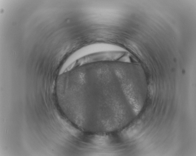 X0000089430458200707061348