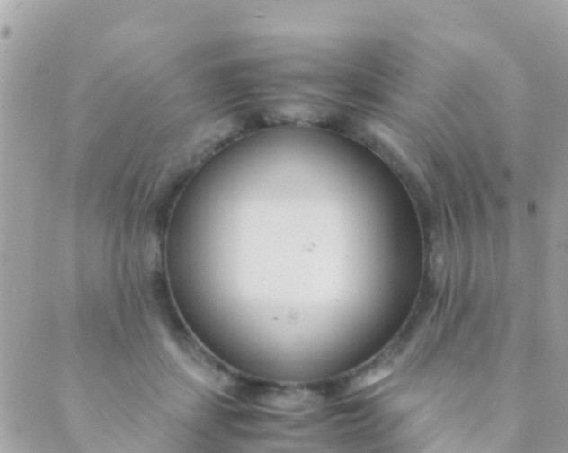 X0000089430459200707061348