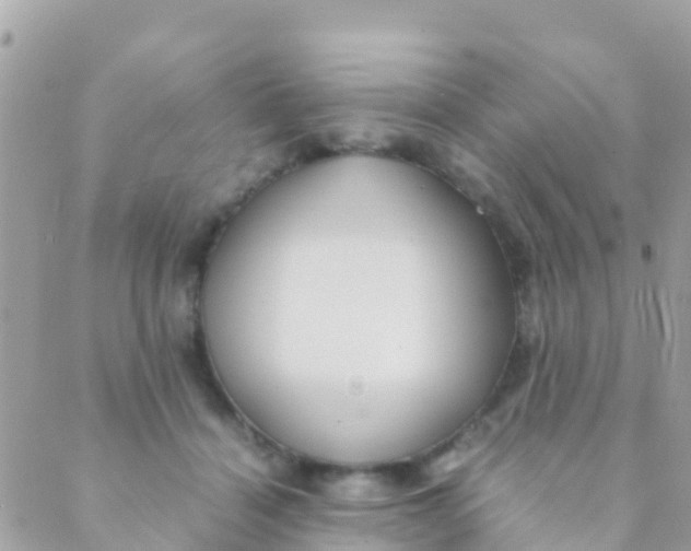 X0000089430460200707061348