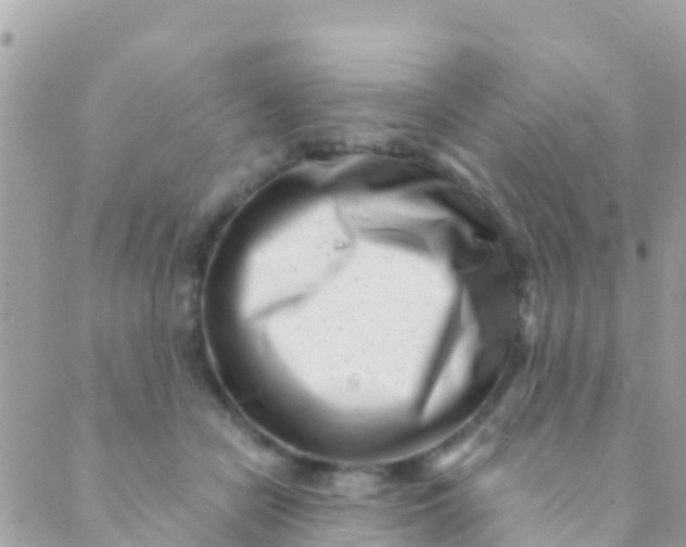 X0000089430462200707061348