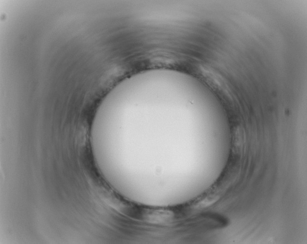 X0000089430463200707061348