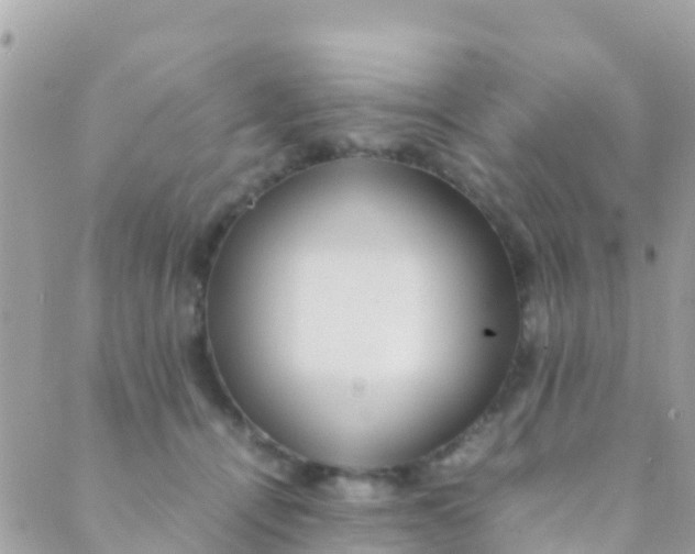 X0000089430464200707061348