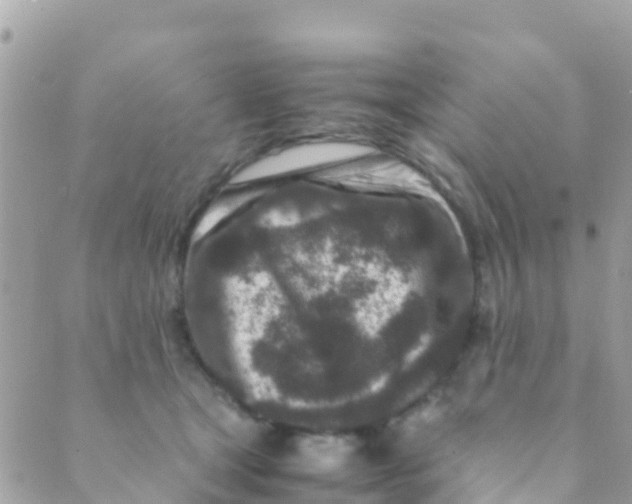 X0000089430465200707061348