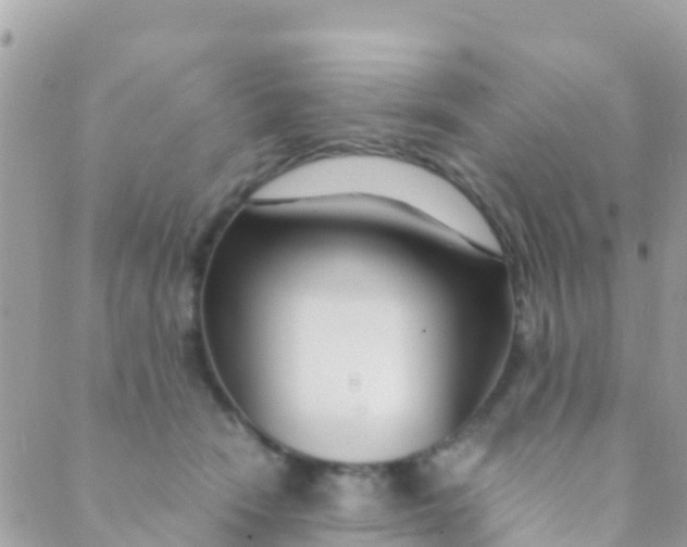 X0000089430466200707061348