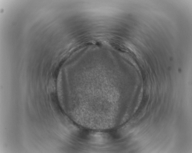 X0000089430467200707061348