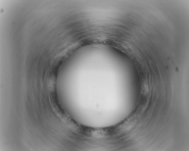 X0000089430468200707061348