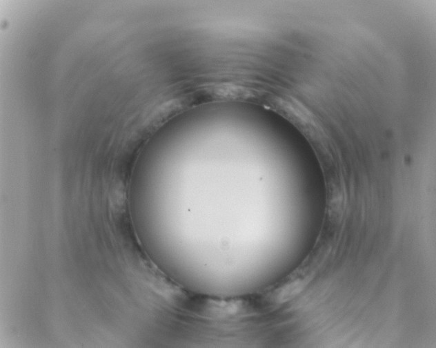 X0000089430469200707061348