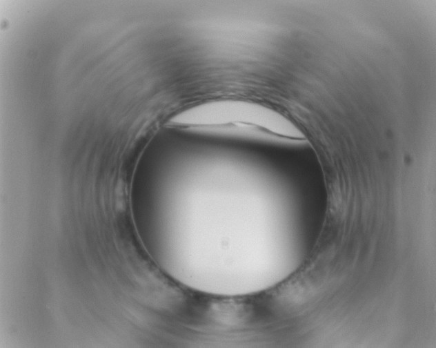 X0000089430470200707061348