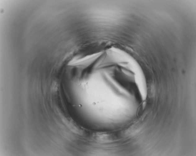 X0000089430472200707061348