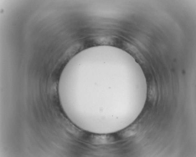 X0000089430473200707061348