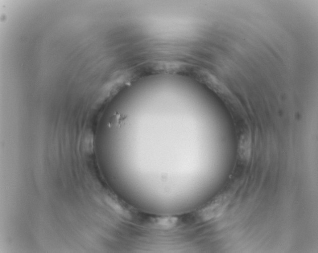 X0000089430474200707061348