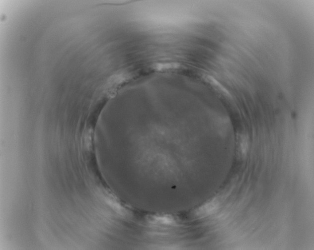 X0000089430475200707061348