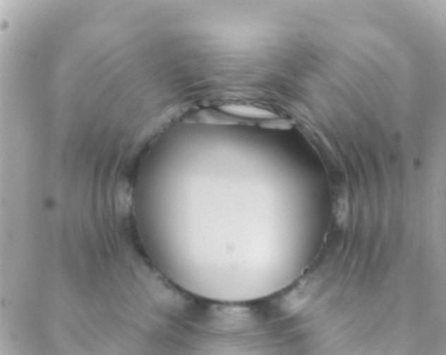 X0000089430476200707061348