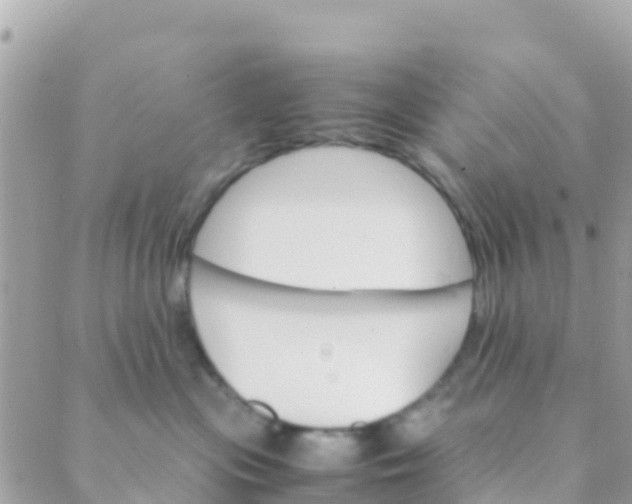 X0000089430477200707061348