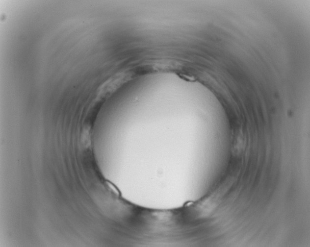 X0000089430478200707061348