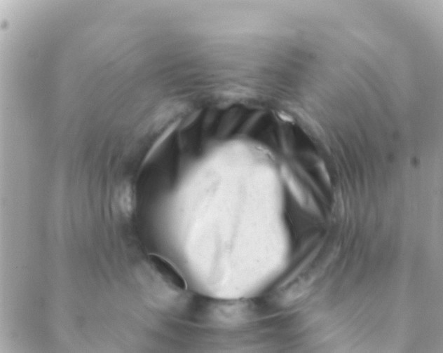 X0000089430479200707061348