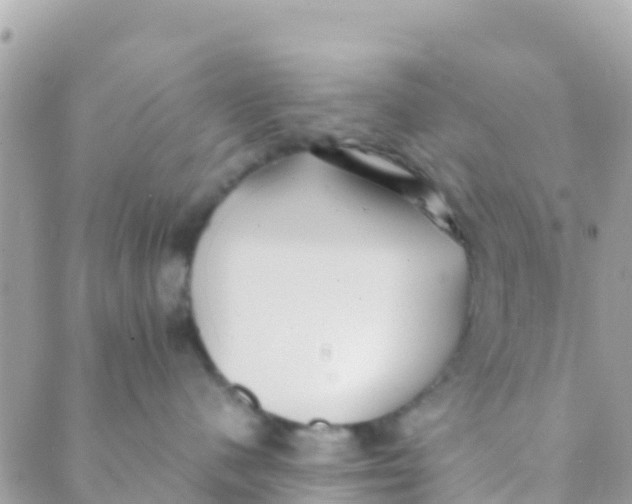 X0000089430480200707061348