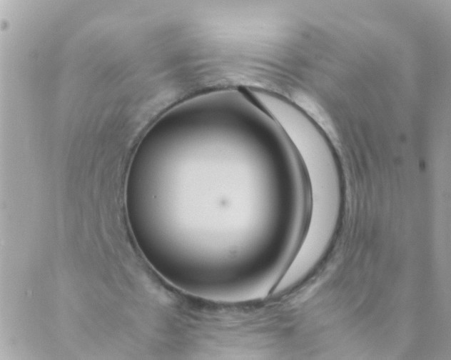 X0000089430481200707061347