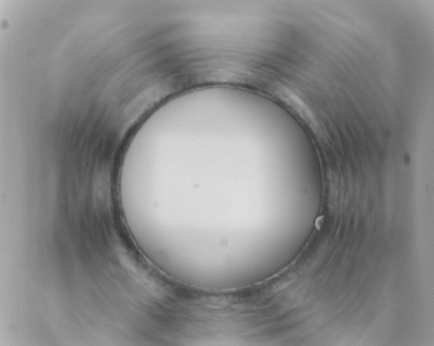 X0000089430482200707061347