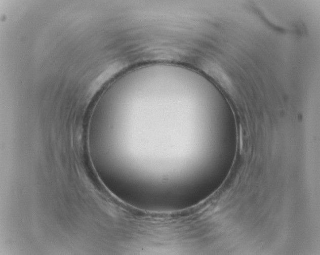 X0000089430483200707061347