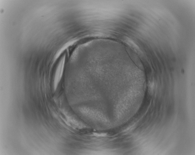 X0000089430484200707061347