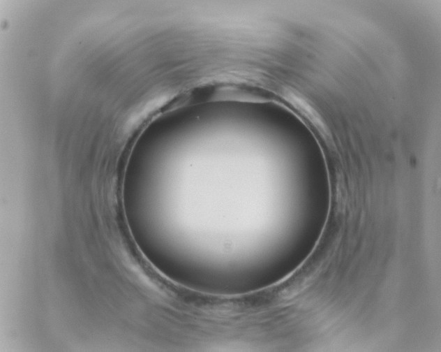 X0000089430485200707061347