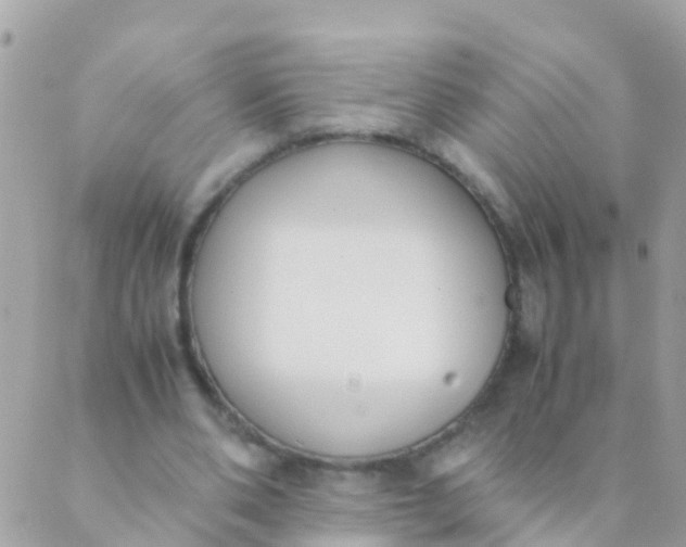 X0000089430486200707061347