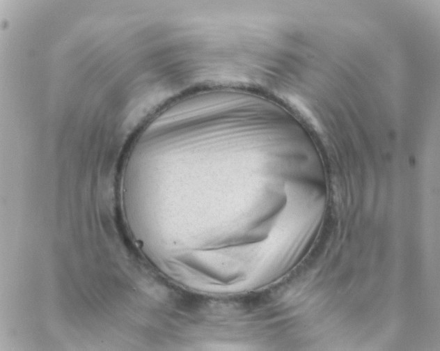 X0000089430487200707061347