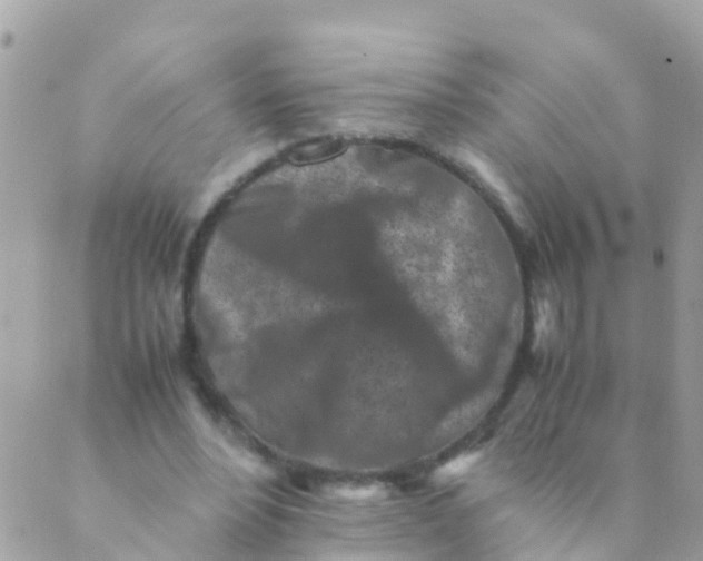 X0000089430488200707061347