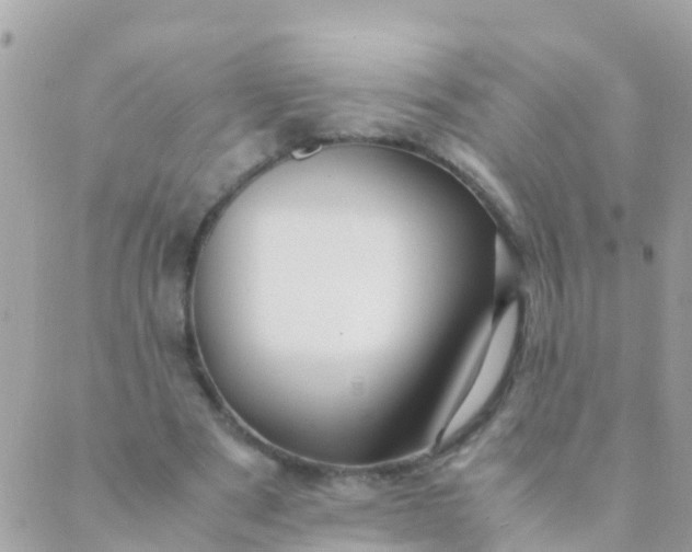 X0000089430489200707061347