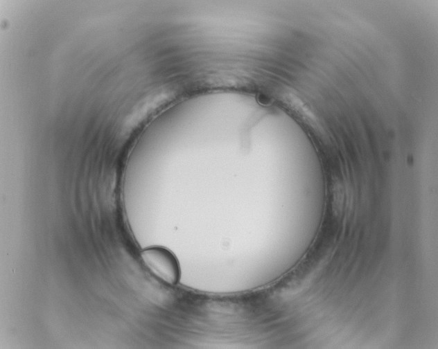 X0000089430490200707061347