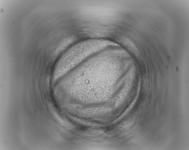 X0000089430491200707061347