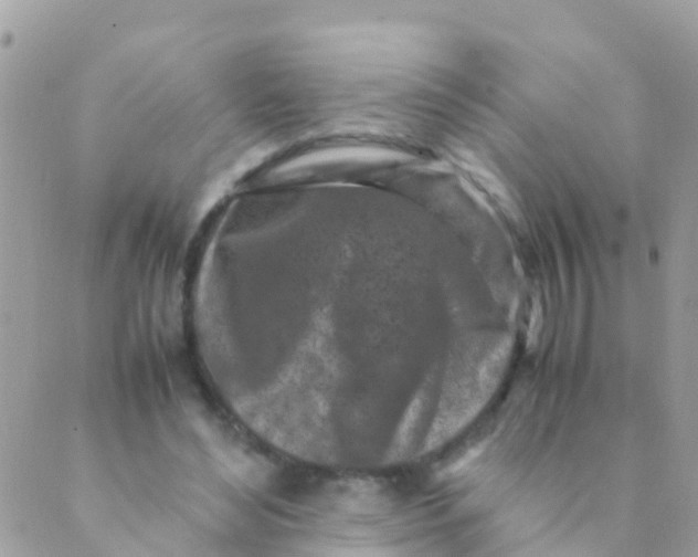 X0000089430492200707061347