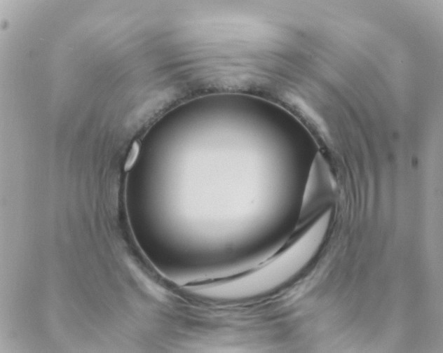 X0000089430493200707061347