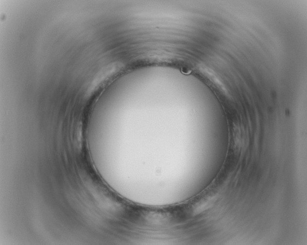 X0000089430494200707061347