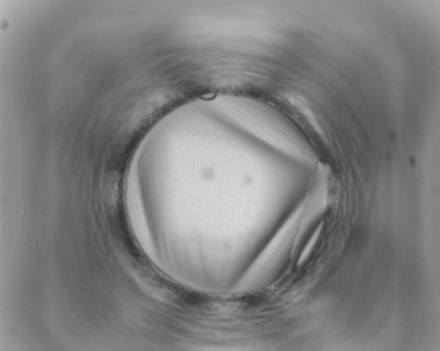 X0000089430495200707061347